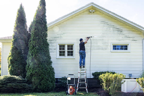 Best Building Exterior Washing  in Sherman, IL
